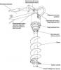 Гидровращатель 3000МАХ марки Auger Torque